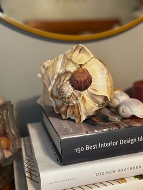 Handmade Bay Scallop Seashell Necklace